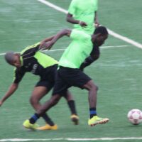 TurfSeason October 2025 Showcase